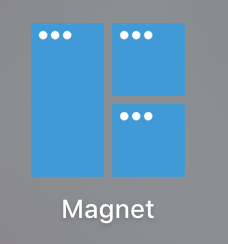 Magnet